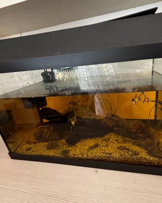 acquario/ vasca