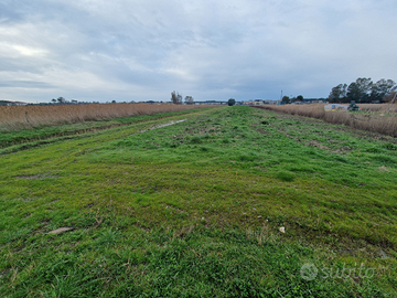 Terreno agricolo 700 mt dal mare