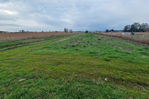 Terreno agricolo 700 mt dal mare