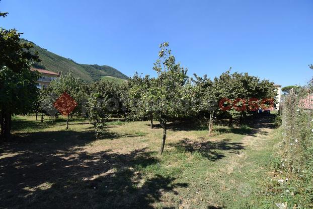 Terreno Agricolo Mercato San Severino