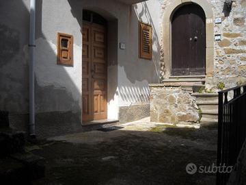 RG 627/2024 Trib Patti