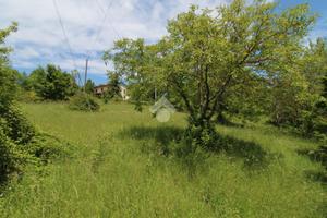 TER. RESIDENZIALE A LANGHIRANO