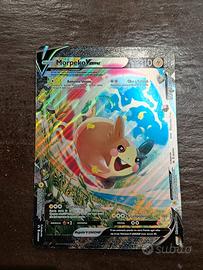 Carte Pokemon grandi