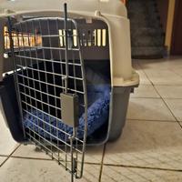 Box trasporto per cani/gatti 