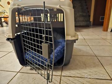 Box trasporto per cani/gatti 