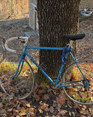 Bicicletta vicini