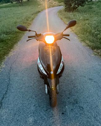 zip piaggio