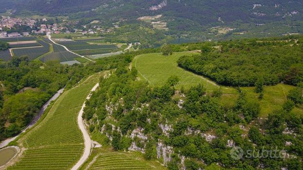 Ca. 3 ettari di vigneto con possibilità di edifica