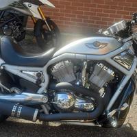 Harley-Davidson V-Rod VR 1 - 2003