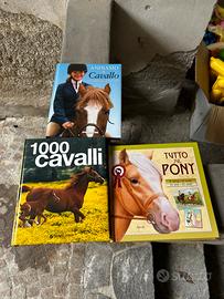Libri per bambini sui cavalli