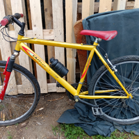 Biciclette economiche