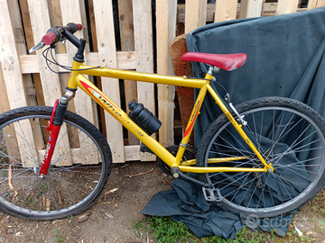 Biciclette economiche