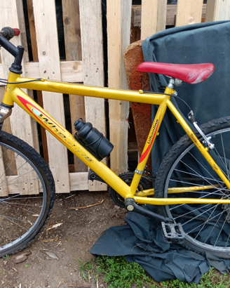 Biciclette economiche
