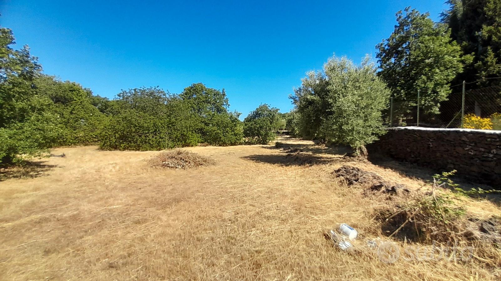 Terreno 4.020 mq con rudere 20 mq a Belpasso - Vista 4
