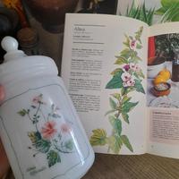 vaso vintage stile farmacia opaline bianco France 