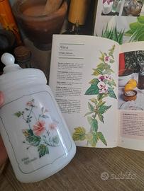 vaso vintage stile farmacia opaline bianco France 