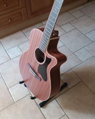 Ibanez con corde e accessori