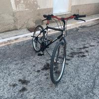 bici Bottecchia