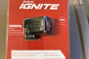 Faretti ausiliari RIGID Ignite Flood Light 20521