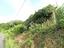 Immagine 26