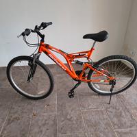 Mountain Bike F.lli Schiano Bici bicicletta MTB