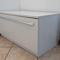 Mobile contenitore basso / Cassapanca moderna