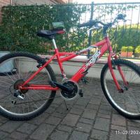 Bici mtb 24