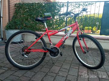 Bici mtb 24