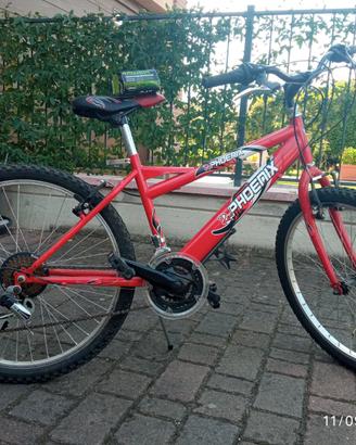 Bici mtb 24