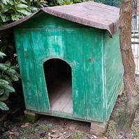 cuccia cane taglia grande in legno 