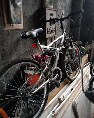 bicicletta Mountain bike 