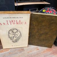 Tabulae anatomicae guilelmi smellie m d