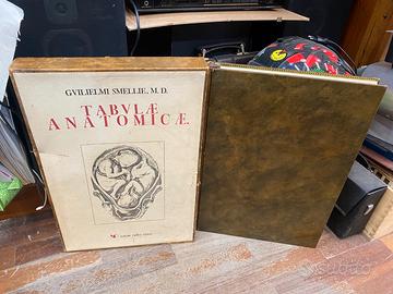 Tabulae anatomicae guilelmi smellie m d
