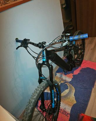 e-bike 