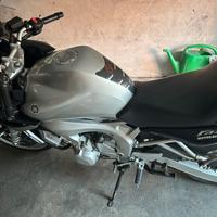 Fz6 Fazer