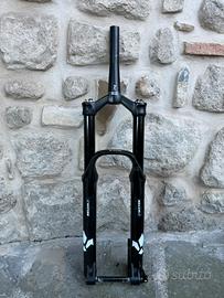 Forcella FORMULA SELVA C 29 160