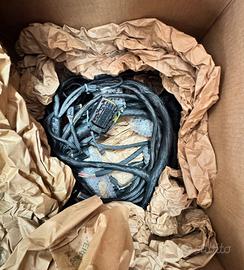 Harness main Frm elec Bobcat