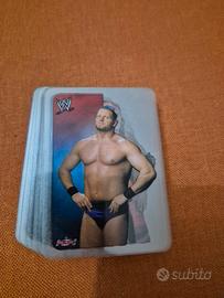 WWE Lamincards 2004