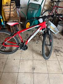 Bici ragazzo/ragazza Moser