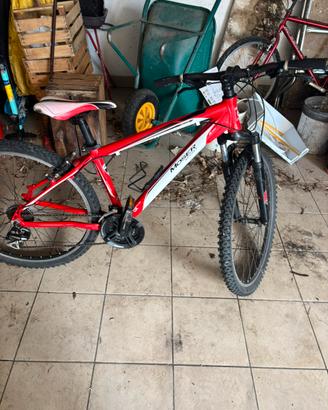 Bici ragazzo/ragazza Moser