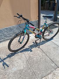 Mountain bike 