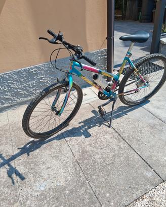 Mountain bike 