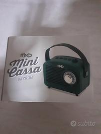 cassa Bluetooth 