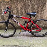 Bici Bottecchia