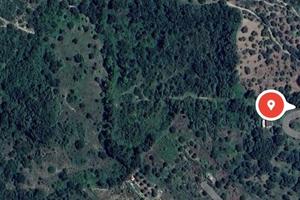 Terreno 17.000 mq - Prignano