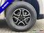 Immagine 13