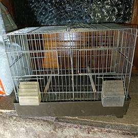 Gabbia zincata da cova per uccelli con accessori