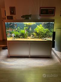 Acquario 1000l
