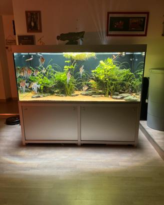 Acquario 1000l