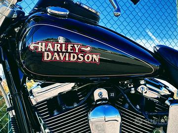 Harley Dyna Low Rider 1340  Evolution FXDL CRS FMI